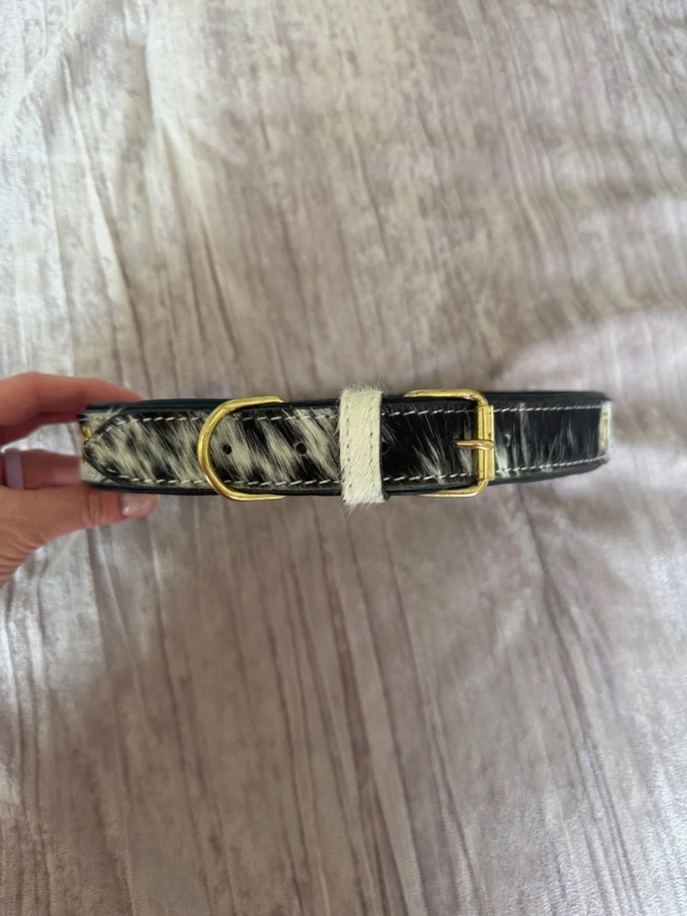 Myra Bag Black and White Cowhide Leather Dog Collar with Gold Hardware